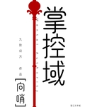 掌控域